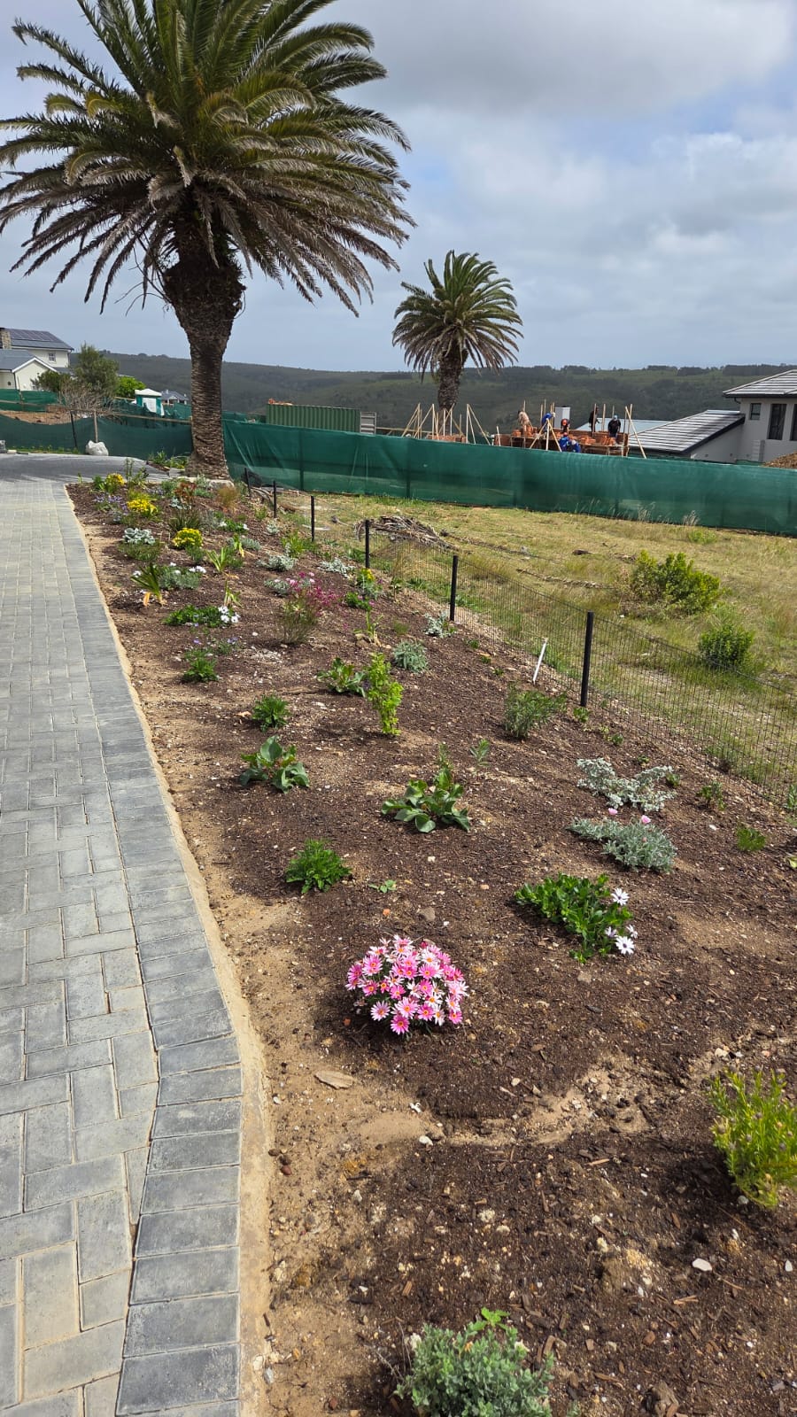 5 Bedroom Property for Sale in Baron View Western Cape